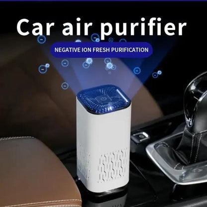Compact negative ion air purifier for car and home use